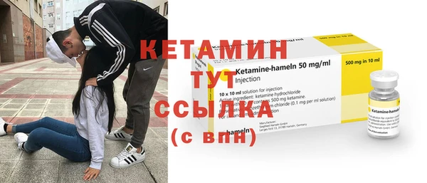 гидра Абаза