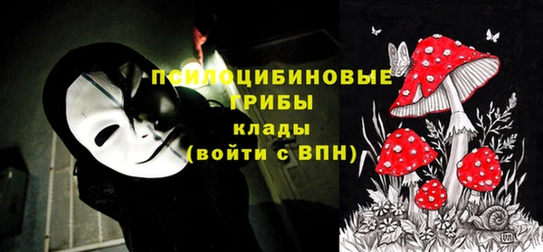 гидра Абаза