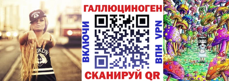 купить Орёл Псилоцибиновые грибы Psilocybine cubensis